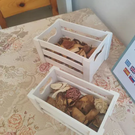 Elaionas Studios&apartments