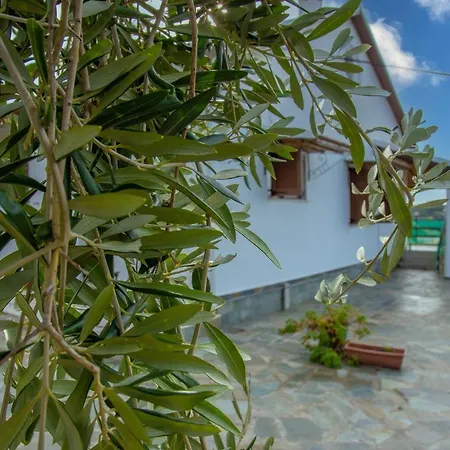 Elaionas And Agios Stefanos Avliotes (Corfu)