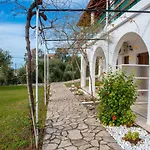 Elaionas And * Agios Stefanos Avliotes (Corfu)