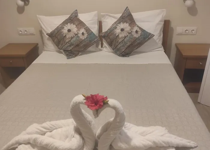 펜션 Elaionas And 에이지오스스테파노스